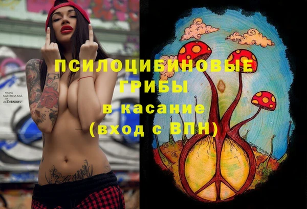 apvp Алексеевка