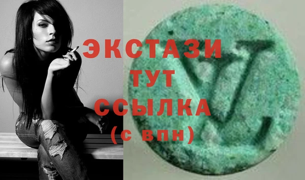 стафф Карпинск